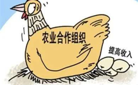 河南（鄭州）農(nóng)民專(zhuān)業(yè)合作社注銷(xiāo)許可條件